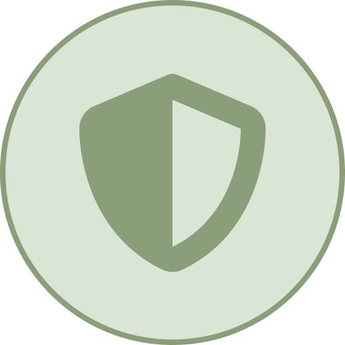 Icono de escudo