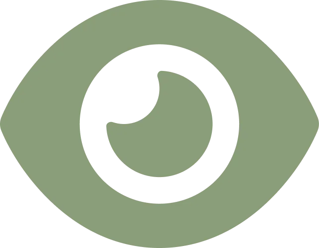 eye icon