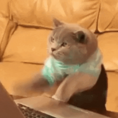 gif_telework