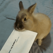 certified_mail
