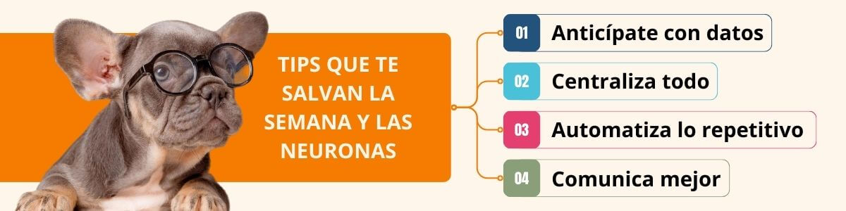 Tips que te salvan la semana y las neuronas